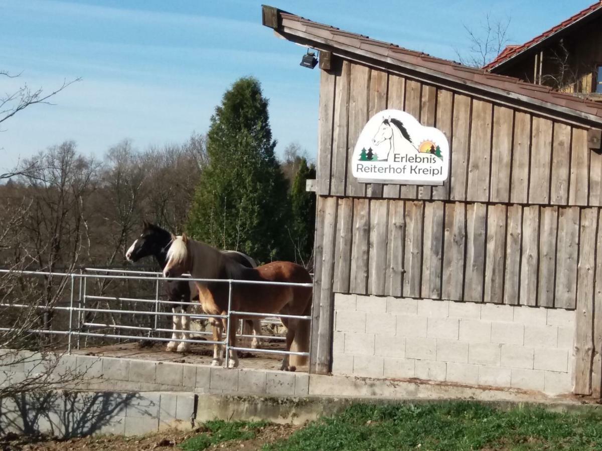 Auf Dem Erlebnisreiterhof Kreipl * Grattersdorf