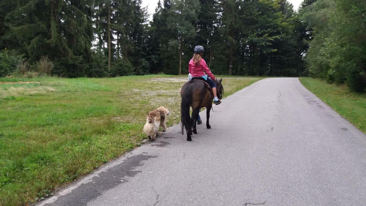 Auf Dem Erlebnisreiterhof Kreipl * Grattersdorf